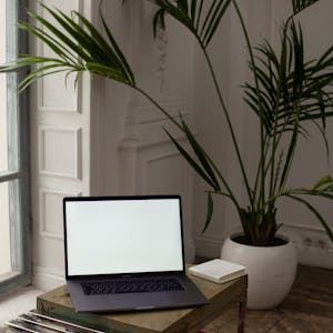 pexels-photo-6372905